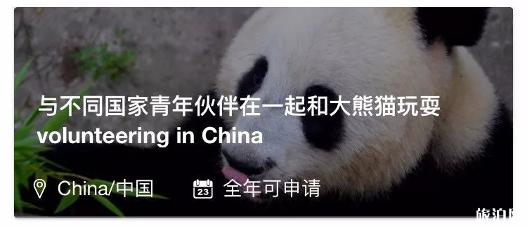 如何才能与熊猫近距离接触 成都大熊猫基地门票多少钱
