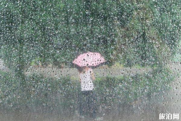 北京暴雨影响旅行吗 2019年7月北京暴雨取消航班