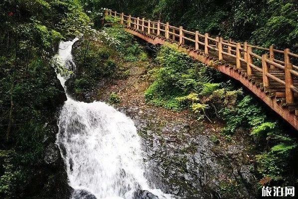 2019天柱峰景区门票免费活动时间