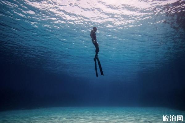 阿洛群岛潜水地点推荐 阿洛群岛最佳潜水时间