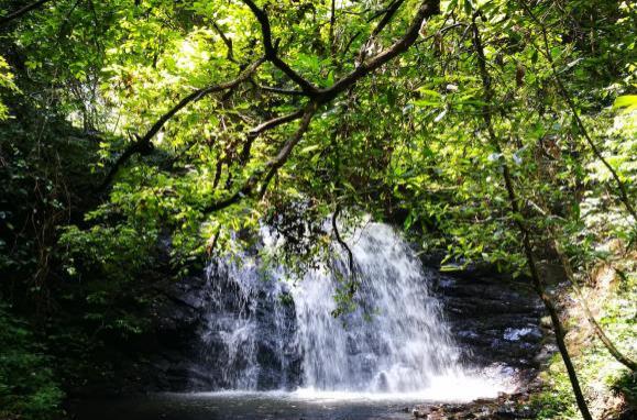 天柱峰景区在哪里 天柱峰景区游玩攻略