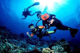 潜水注意事项和技巧 潜水注意哪些问题