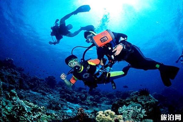 潜水注意事项和技巧 潜水注意哪些问题
