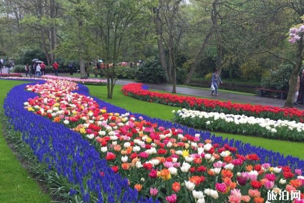 2019庫肯霍夫公園門票+車票價格