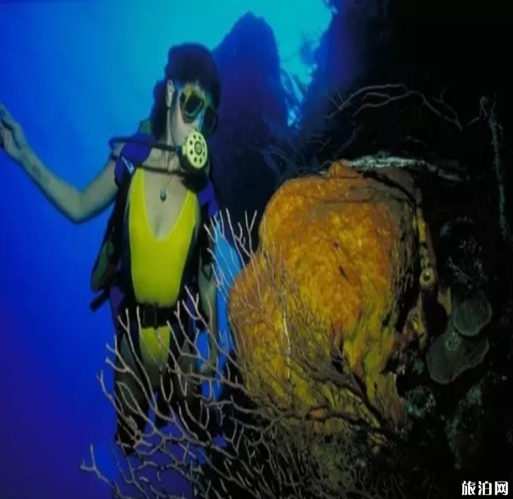 潜水必备的呼吸技巧 水下应该怎么呼吸