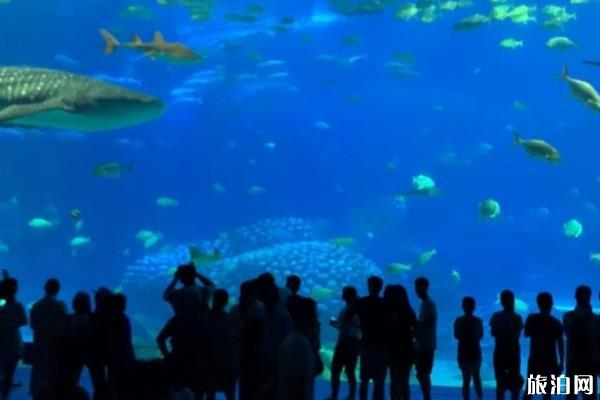2019珠海长隆海洋王国有哪些好玩的项目推荐