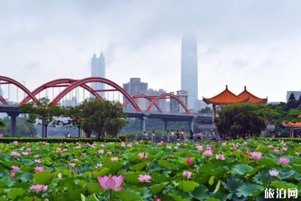 深圳冷门又好玩的地方推荐 深圳免费值得去的景点