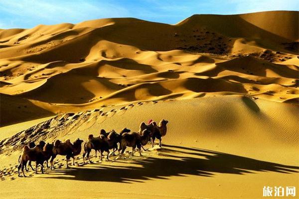 巴丹吉林沙漠 交通