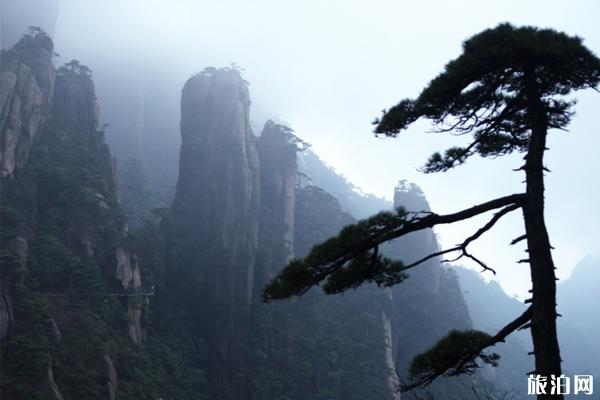 三清山最佳旅游时间 三清山有哪些美景