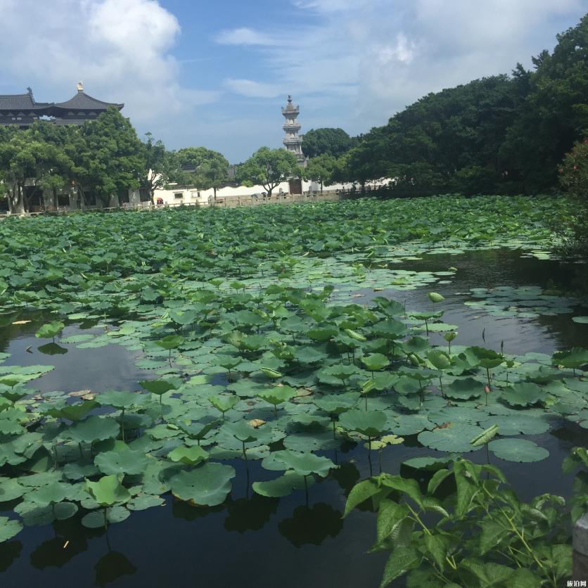 佛陀山值得去的景點 佛陀山景點推薦