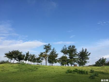 四明山森林公园门票信息 四明山森林公园怎么样