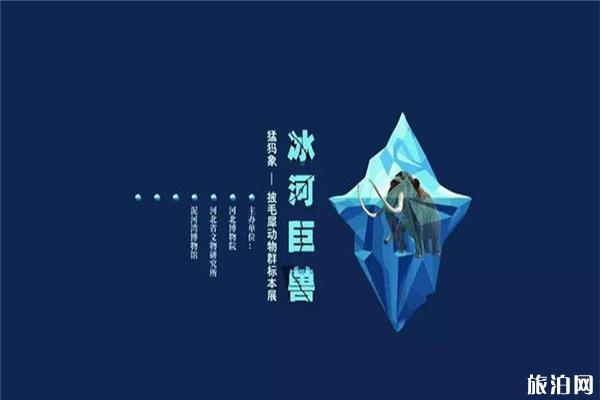 2019暑假河北博物馆冰河巨兽猛犸象展览介绍