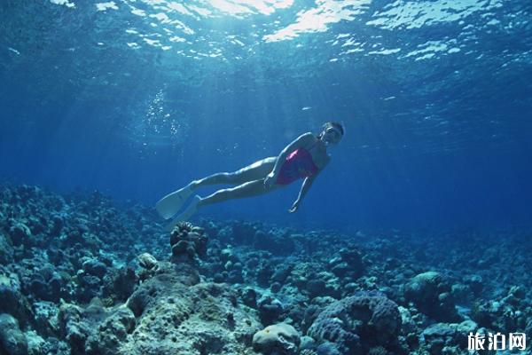 体验潜水和休闲潜水有什么区别 浮潜和深潜的区别