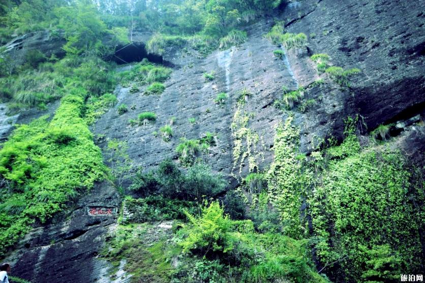 去武夷山最方便的交通线路 武夷山寻茶线路