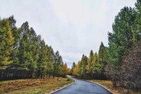 2019木兰围场门票多少钱 木兰围场消费高吗