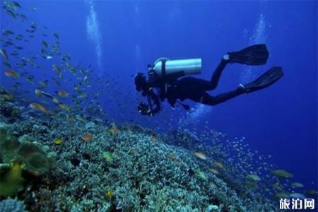 潜水怎么在水中换气 潜水呼吸技巧