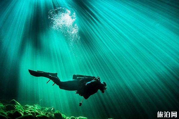 冲绳考取padi潜水证攻略 水肺潜水和自由潜水的区别有哪些