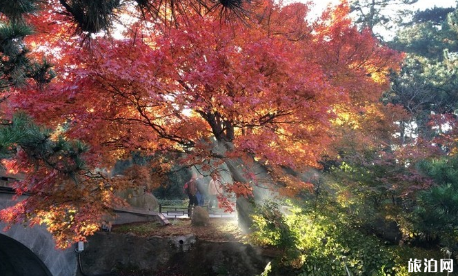 廬山有哪些特色景點 廬山門票多少錢