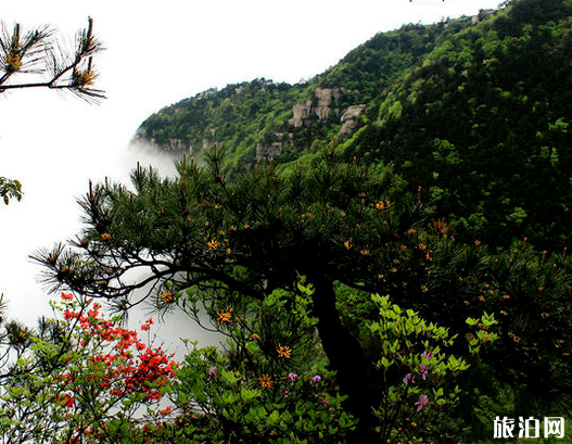 庐山有哪些特色景点 庐山门票多少钱