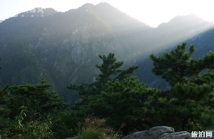 廬山交通指南 廬山一日游線路推薦