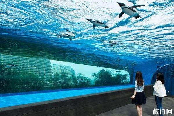 日本水族馆有哪些