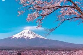 日本旅游常见汉子和语句大全