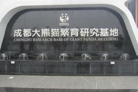 成都大熊猫繁育研究基地游玩攻略