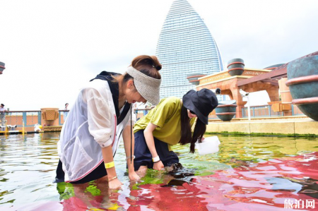 三亚海鲜加工市场哪里好 三亚亚特兰蒂斯酒店攻略
