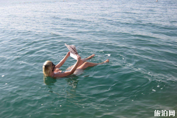 死海在哪个国家 死海可以游泳吗