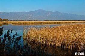 2019北京野鸭湖湿地公园门票价格+开放时间+游玩项目