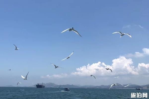2019惠州雙月灣旅遊攻略