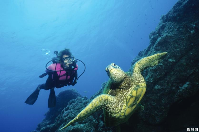 泰国斯米兰岛哪里适合潜水