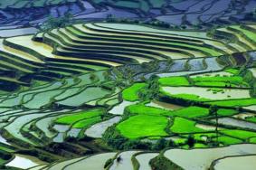 元阳梯田最佳时间和最佳观赏地点