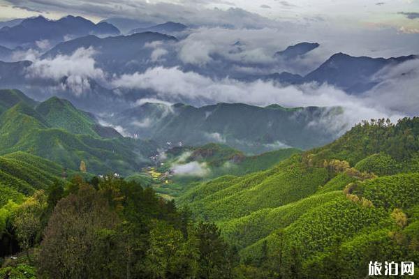 莫干山旅游攻略 莫干山旅游注意事项