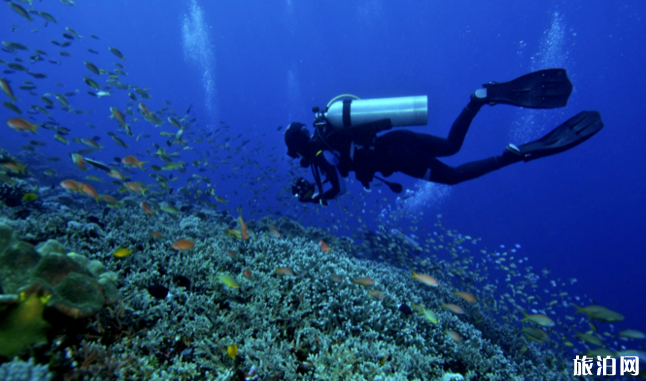 潜水镜有带度数的么 初学潜水安全吗