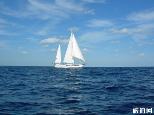 浙江哪里可以乘坐帆船 帆船运动注意事项