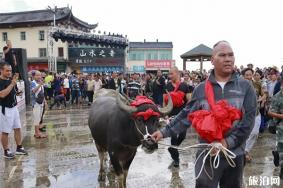 2019红河元阳火把节 时间+活动内容