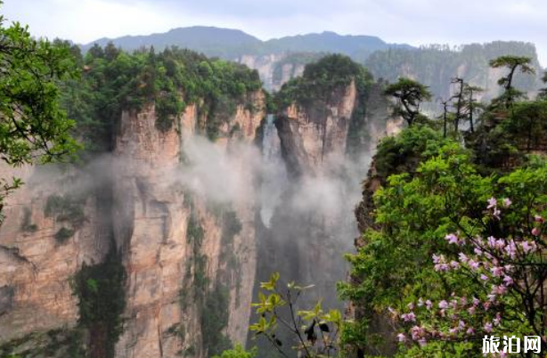 去張家界旅游得注意什么