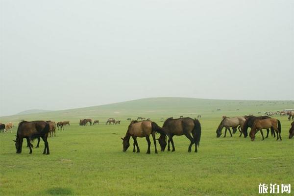 内蒙古通辽景区有哪些景点