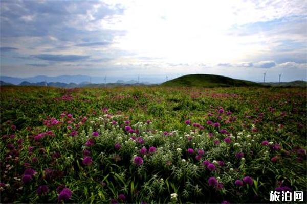 贵州韭菜坪旅游景点有哪些