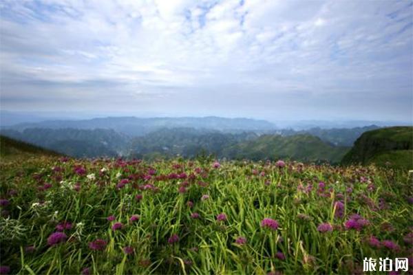 贵州韭菜坪旅游景点有哪些