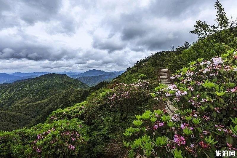 浙江周邊避暑好去處