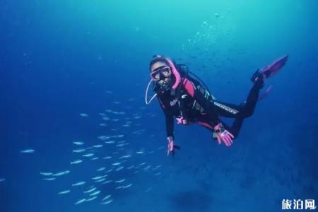 潜水的类型有哪些 旅游潜水分几种