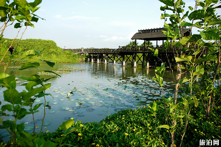 2019深圳海上田園暑期有什么活動