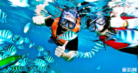 潜水的类型有哪些 旅游潜水分几种