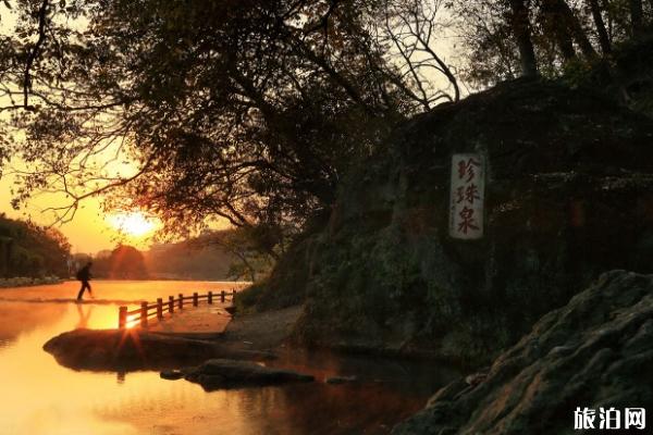 2019南京珍珠泉什么时候免费
