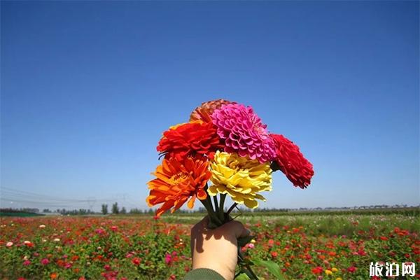 通州花仙子萬花園門票多少錢