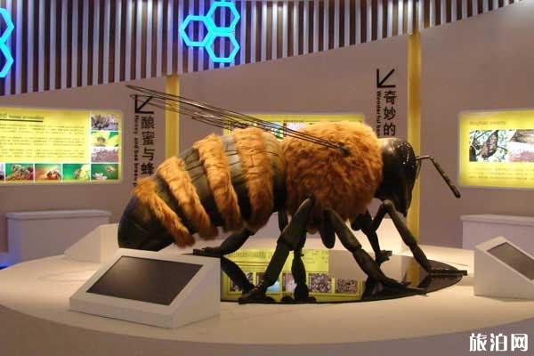 中国蜜蜂博物馆概况+门票+开放时间