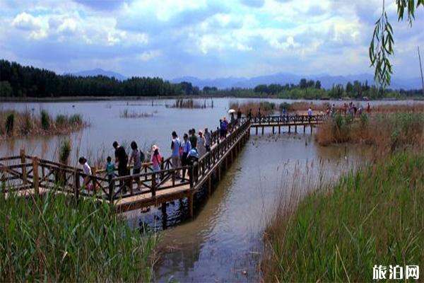 野鴨湖國家濕地公園停車費+自行車租賃費用