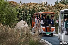 张掖湿地公园观光车+自行车收费